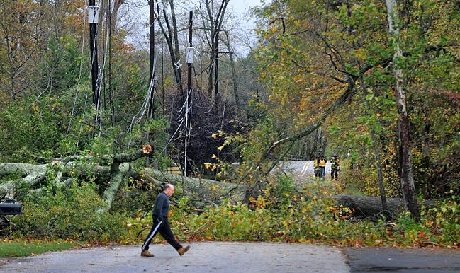 Downed trees in Southampton, PA post Superstorm Sandy