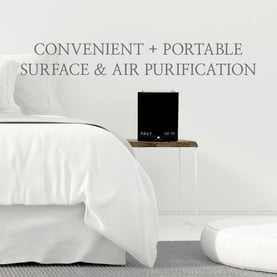 Aerus Pure and Clean Plus