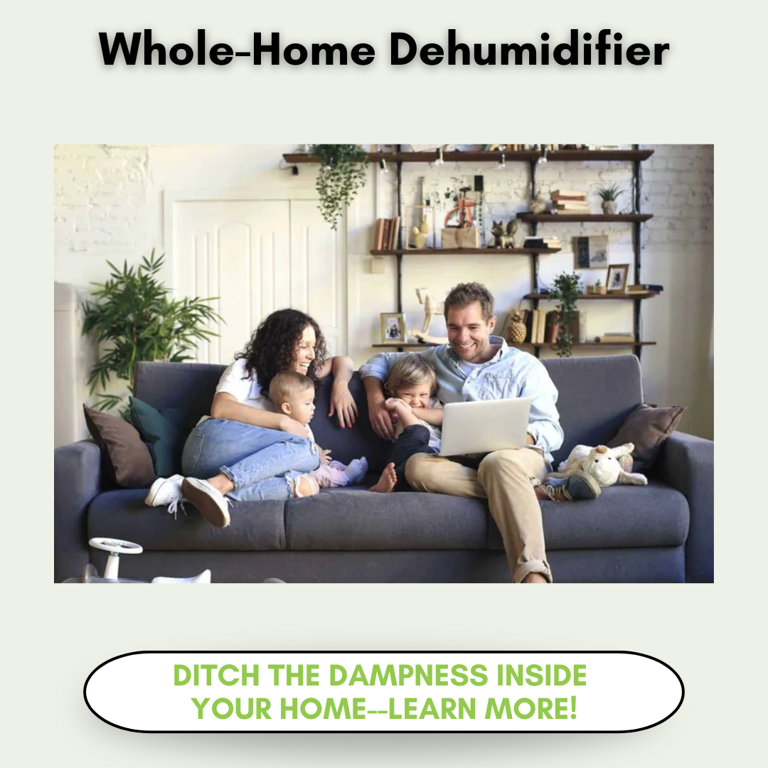 Whole home dehumidifier
