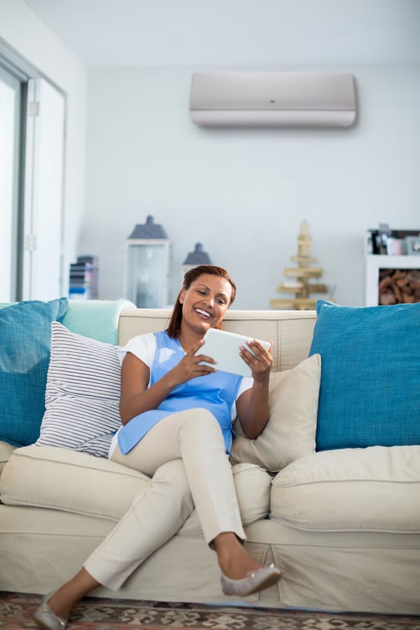 Carrier_Woman_in_Living_Room