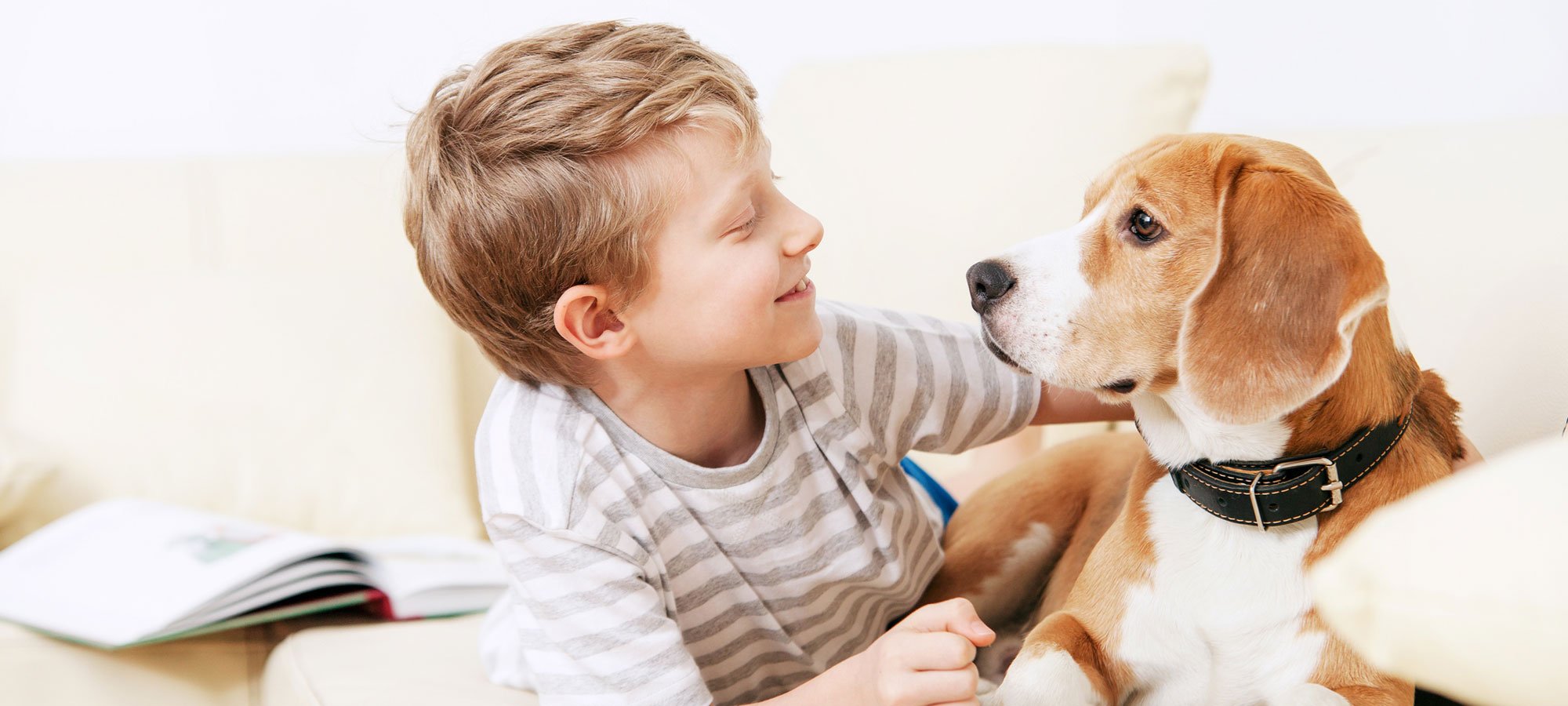 Indoor air quality products for Philadelphia, Bucks and Montgomery Counties