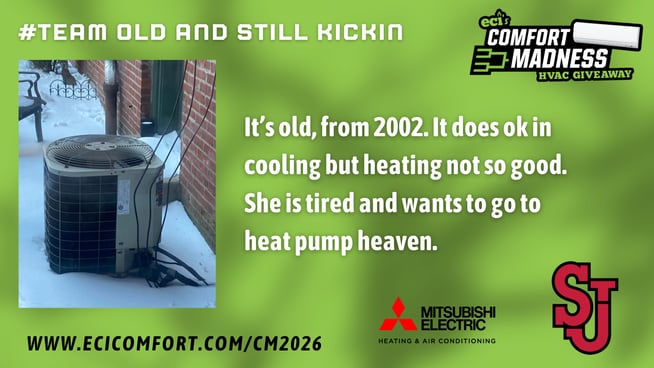 Colette Hanlon - Old and still kickin