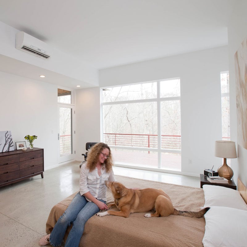 Ductless_Dog_Lady.jpg
