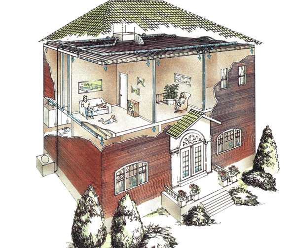 Unico Home Illustration
