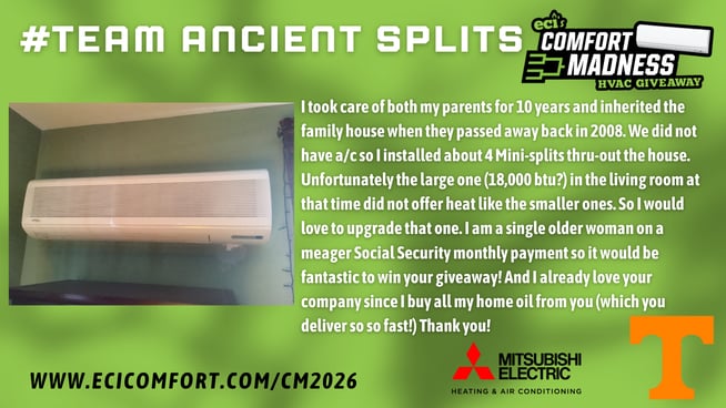 Jani Thorrick- Ancient Splits