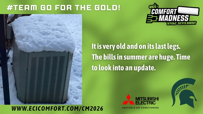 Peter Hanlon- Go for the Gold! (1)