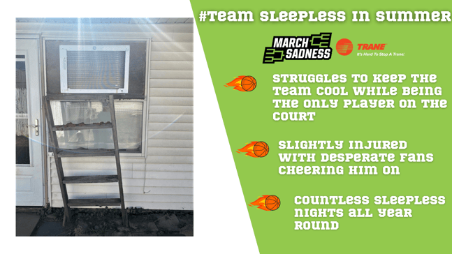 Team Sleepless In Summer Stats