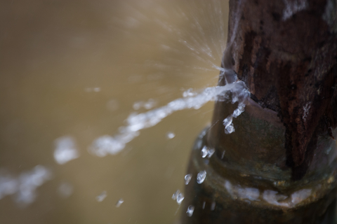 Bensalem Homeowner Prevents Water Damage With Emergency Repairs